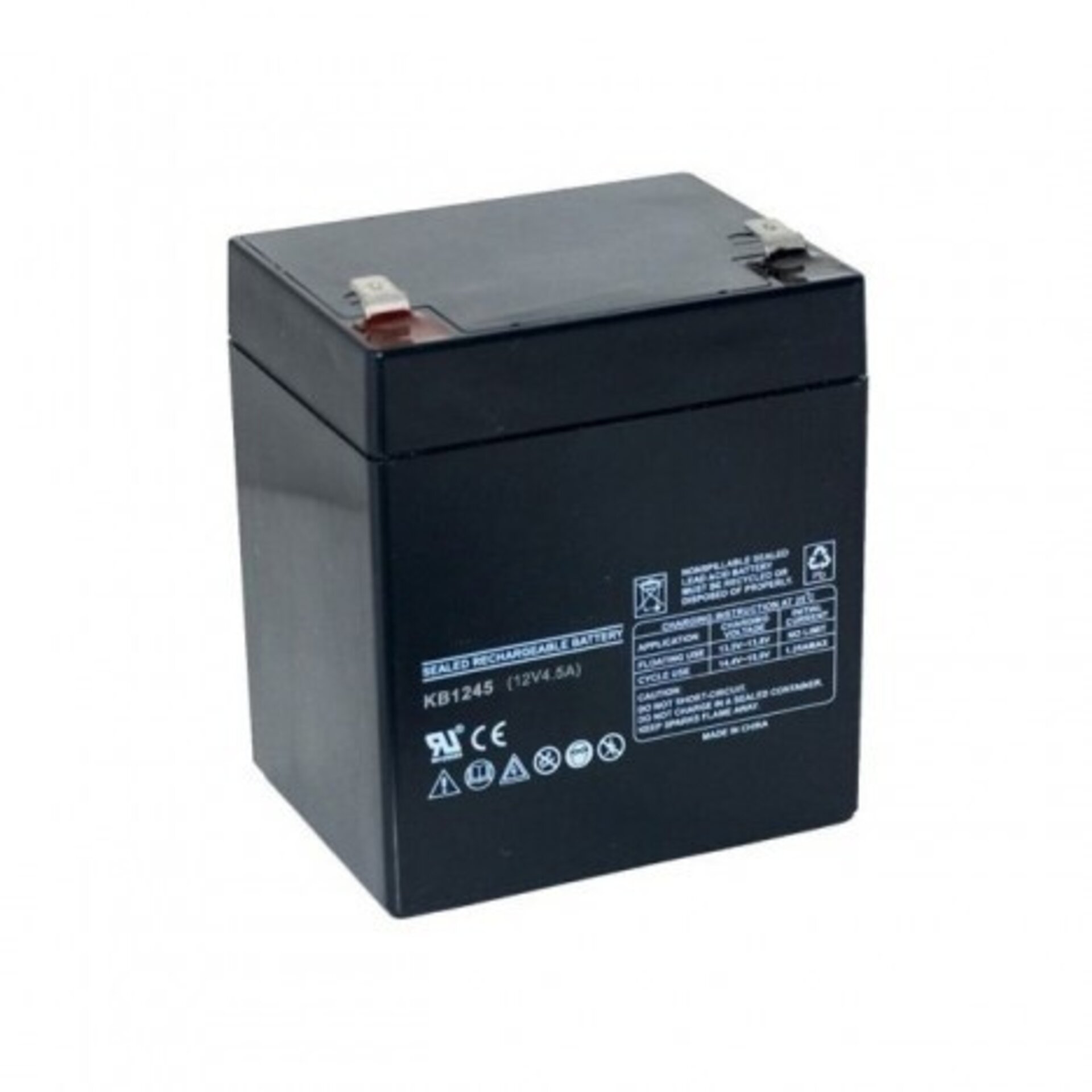 Bateria 12V-4,5A, recargable, 90x70x107mm - 1